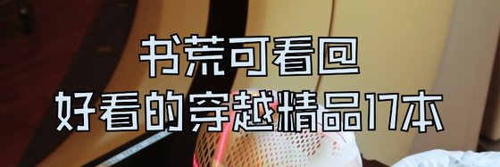 書荒可看@好看的穿越精品17本